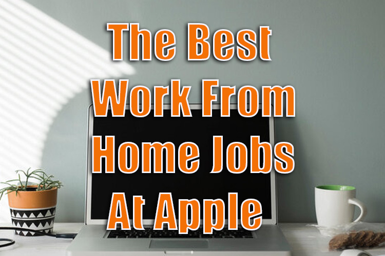 The Best Work From Home Jobs