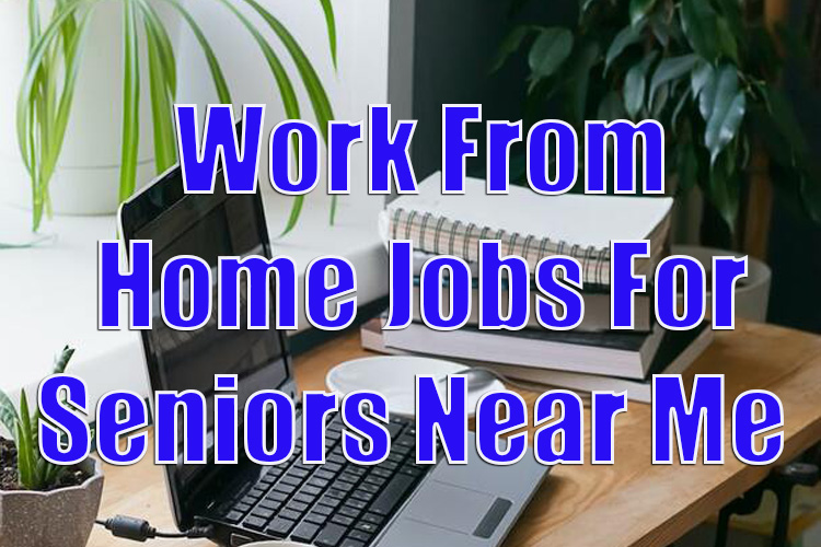 Work From Home Jobs For Seniors