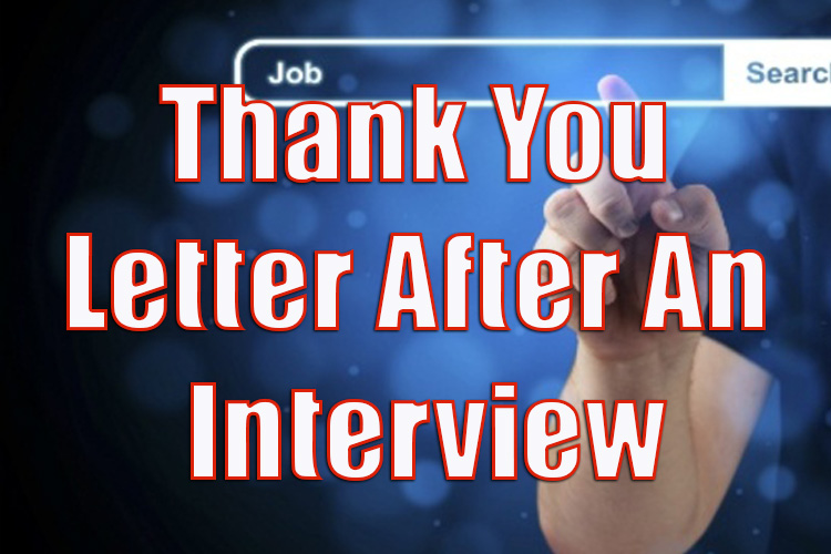 Thank You Letter After An Interview