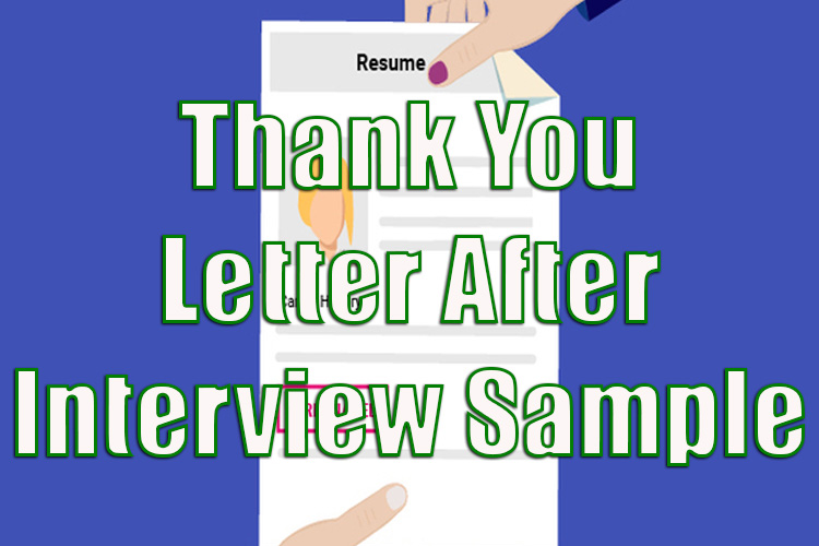 Thank You Letter After Interview Sample