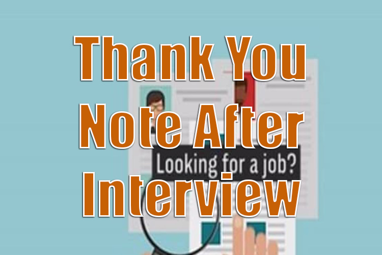 Thank You Note After Interview