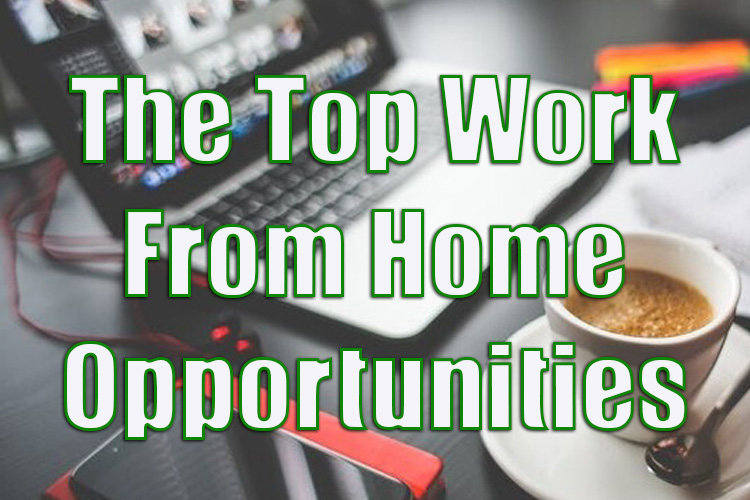 Exploring the Top Work from Home Opportunities