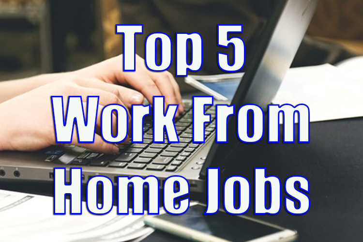 Top 5 Work From Home Jobs