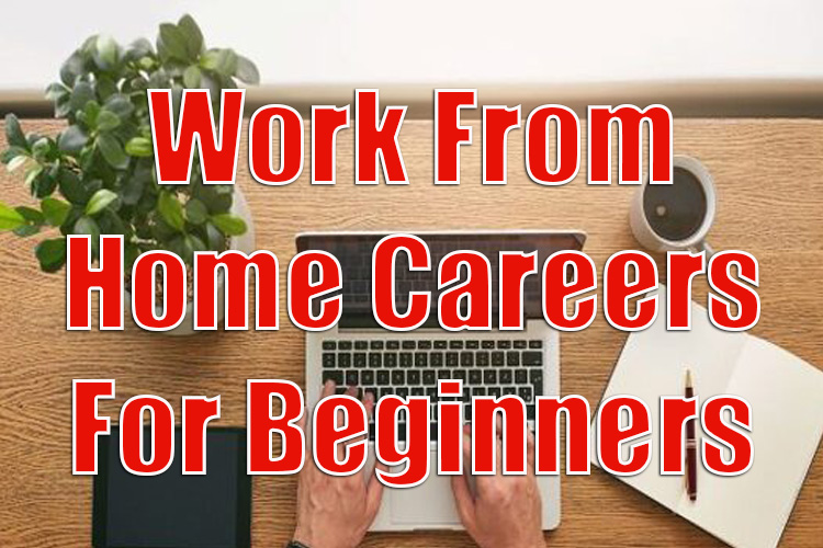 Top 6 Work from Home Careers for Beginners