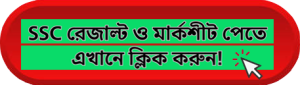 SSC Result 2025 With Marksheet